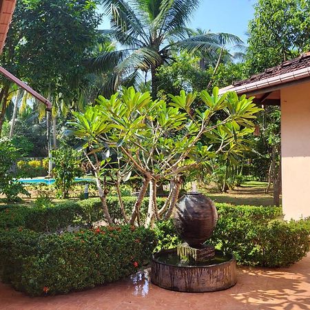 King Coconut Lodge Habaraduwa ภายนอก รูปภาพ