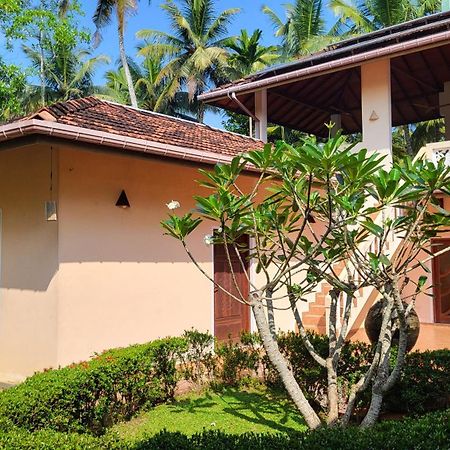 King Coconut Lodge Habaraduwa ภายนอก รูปภาพ