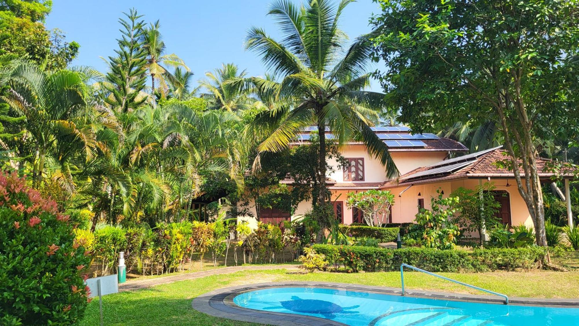 King Coconut Lodge Habaraduwa ภายนอก รูปภาพ