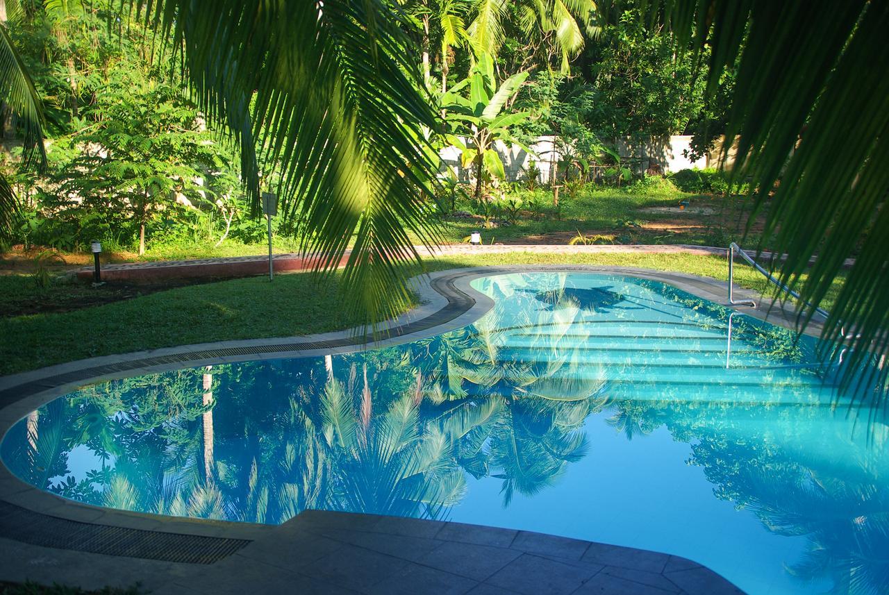 King Coconut Lodge Habaraduwa ภายนอก รูปภาพ