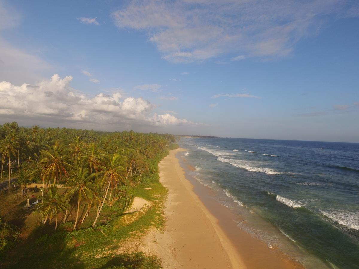 King Coconut Lodge Habaraduwa ภายนอก รูปภาพ