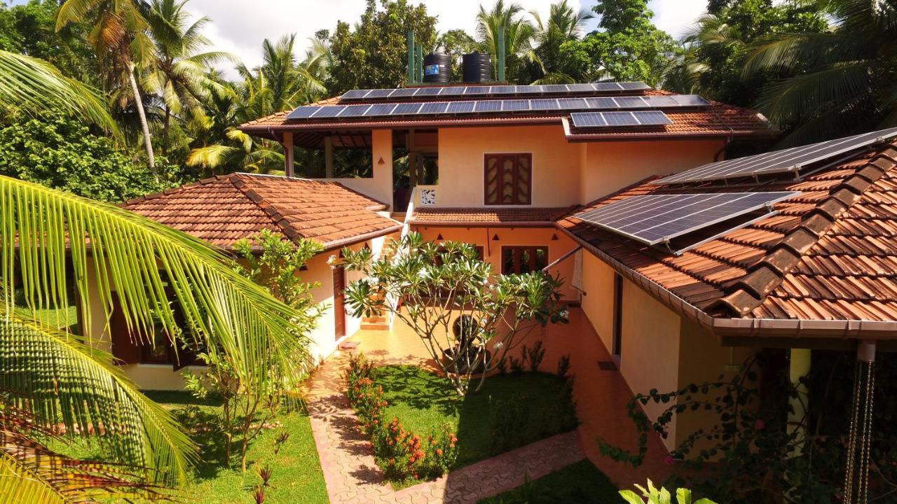 King Coconut Lodge Habaraduwa ภายนอก รูปภาพ