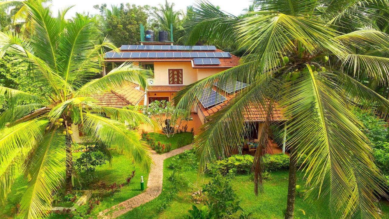 King Coconut Lodge Habaraduwa ภายนอก รูปภาพ