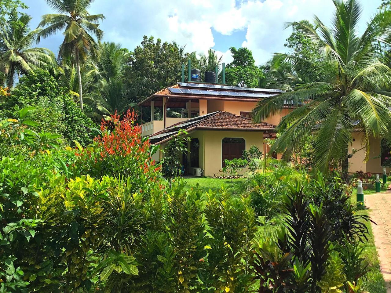 King Coconut Lodge Habaraduwa ภายนอก รูปภาพ